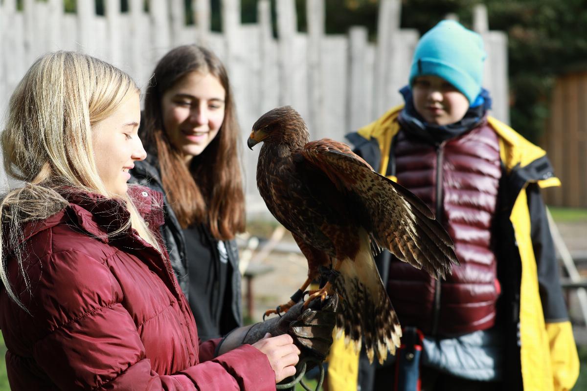 Mädchen hält Greifvogel auf dem Arm